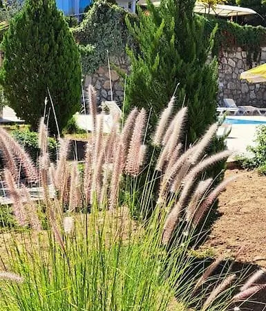 شقة Orka Garden Fethiye Cedit